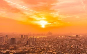 Elaboración de mapas de absorción de CO2