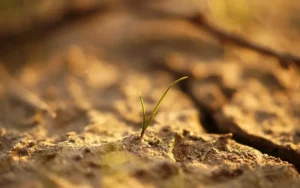 Agricultural soil erosion
