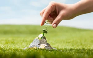 Green Finance: sustainability in the financial sector