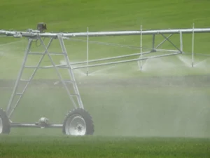 Irrigation efficiency in the field: Innovation and sustainability.