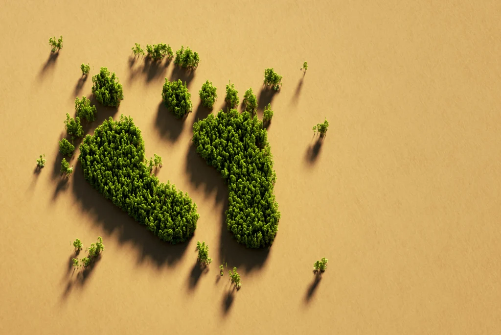 What does the new Royal Decree on Carbon Footprint mean for your company?