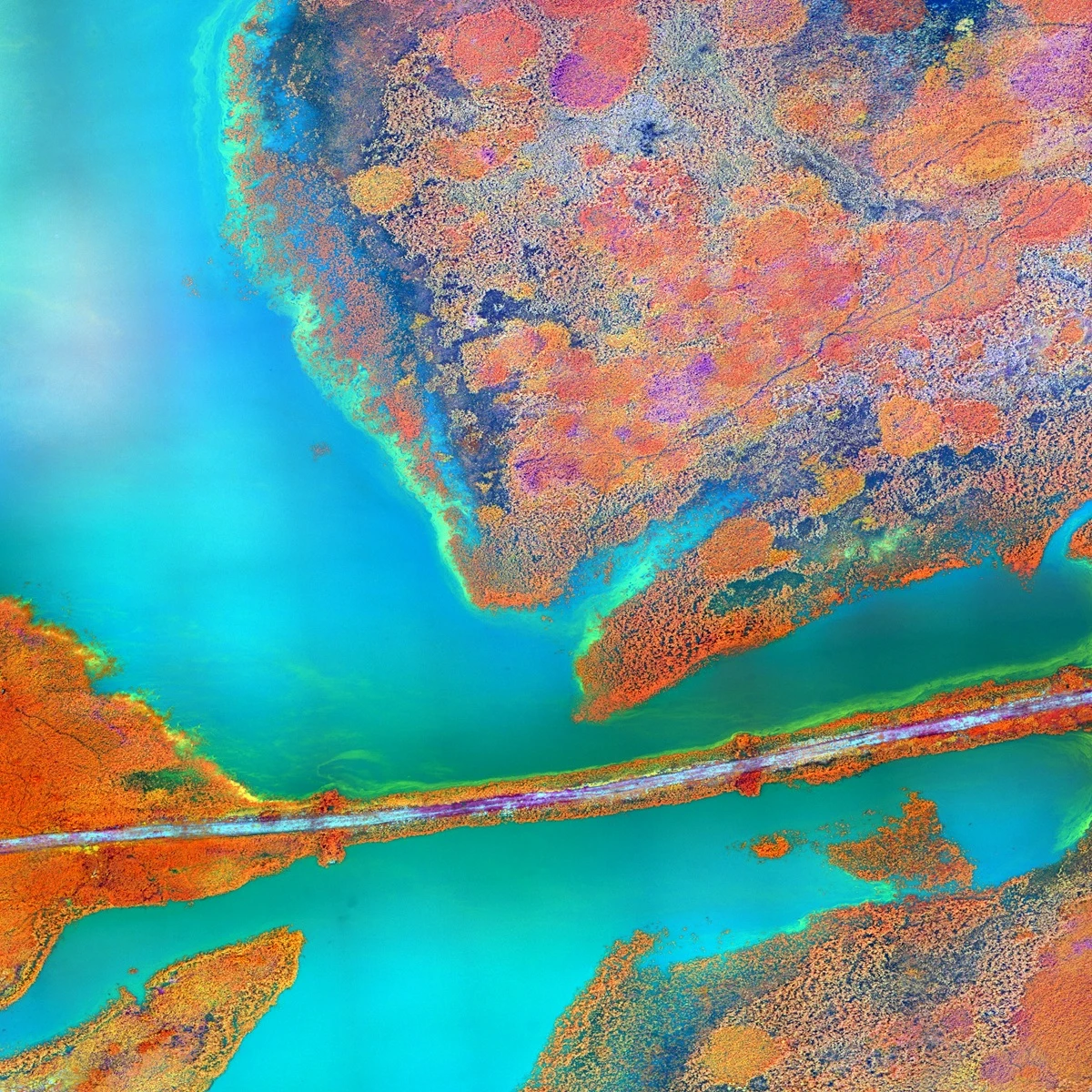 LST (Land Surface Temperature)
