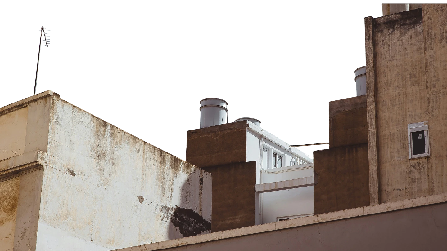 Exploración o cribado