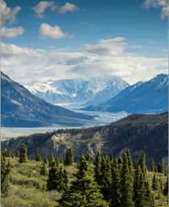 Water Stress Solutions