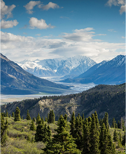 Water Stress Solutions